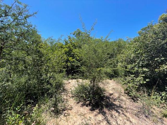Land for sale in Mopani, Limpopo