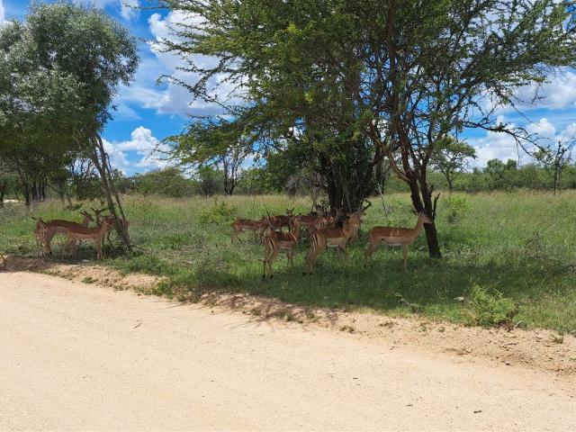 Land for sale in Mopani, Limpopo