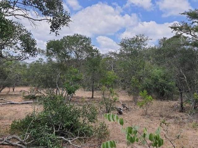 Land for sale in Mopani, Limpopo
