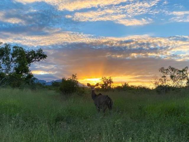 Land for sale in Mopani, Limpopo