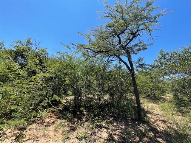 Land for sale in Mopani, Limpopo