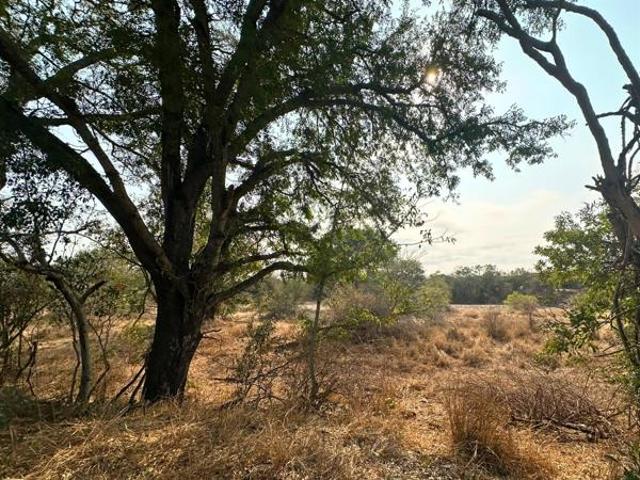 Land for sale in Mopani, Limpopo