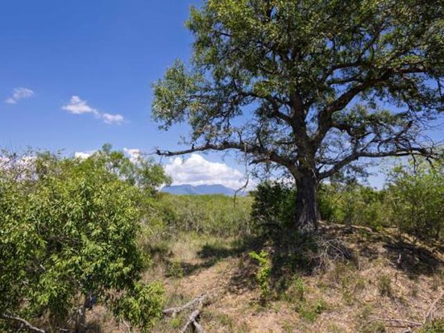Land for sale in Mopani, Limpopo
