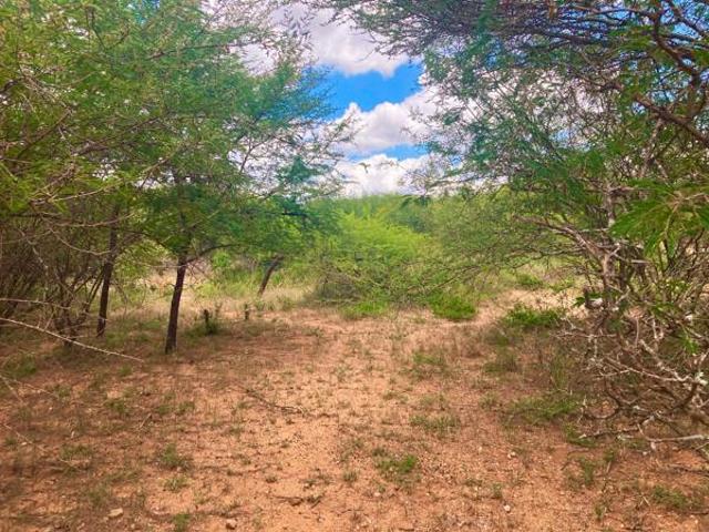 Land for sale in Mopani, Limpopo