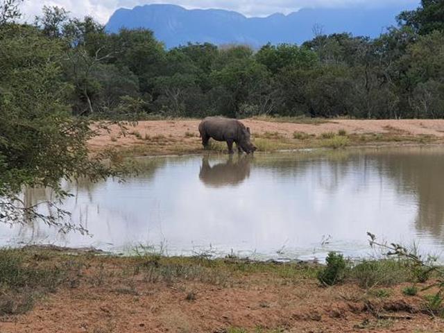 Land for sale in Mopani, Limpopo