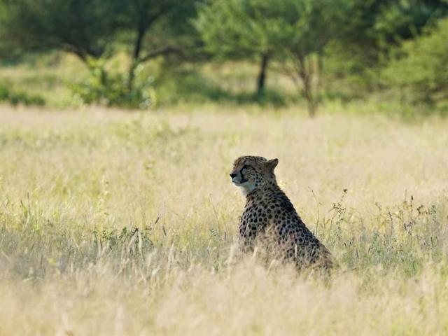 Land for sale in Mopani, Limpopo