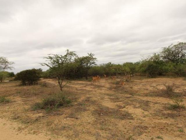 Land for sale in Mopani, Limpopo