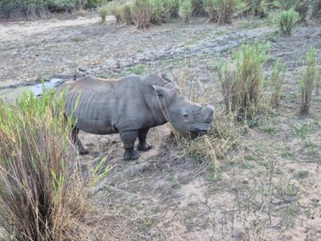 Land for sale in Mopani, Limpopo