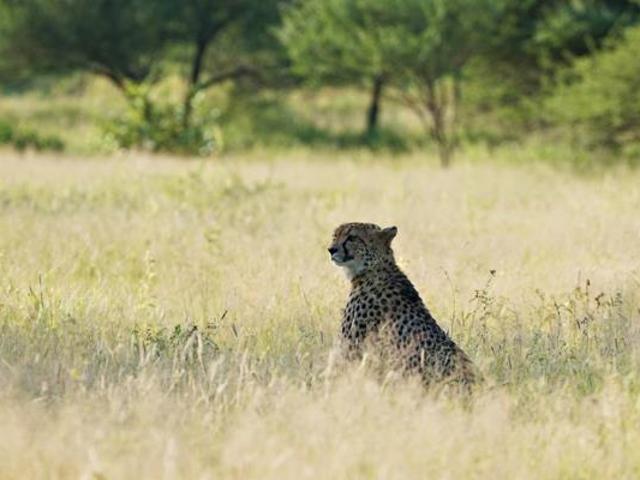 Land for sale in Hoedspruit, Maruleng Local Municipality