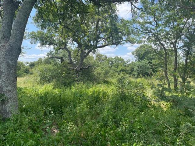 Land for sale in Mopani, Limpopo