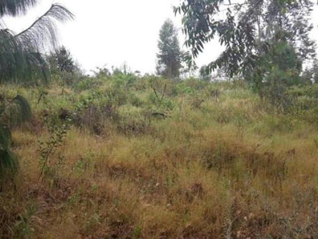 Land for sale in Sabie, Thaba Chweu Local Municipality