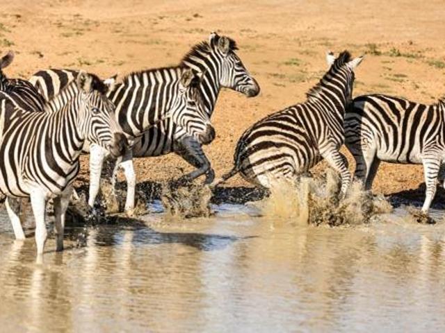 Land for sale in Gauteng
