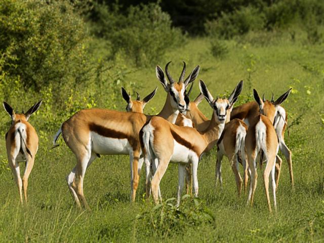 Land for sale in Gauteng