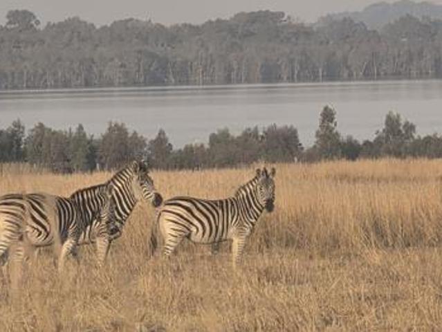 Land for sale in Gauteng