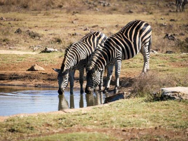 Land for sale in Gauteng