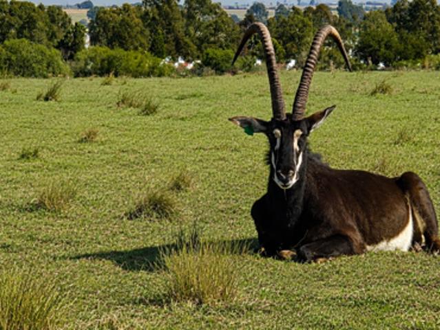 Land for sale in Gauteng