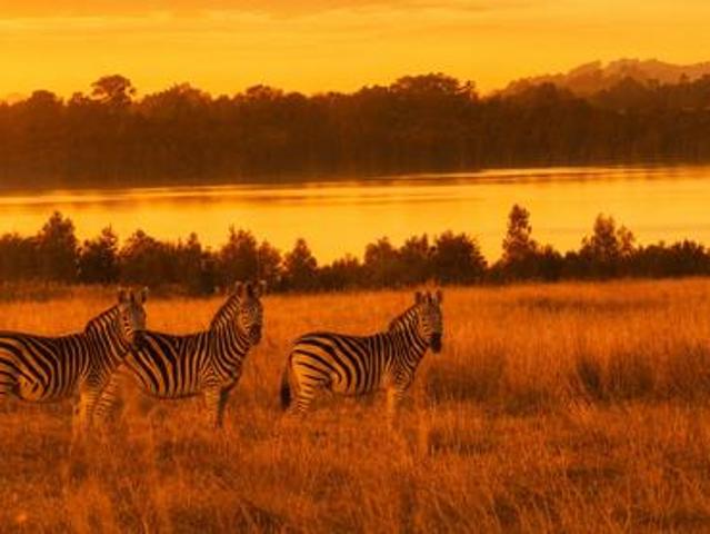 Land for sale in Gauteng