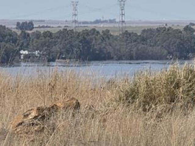 Land for sale in Gauteng