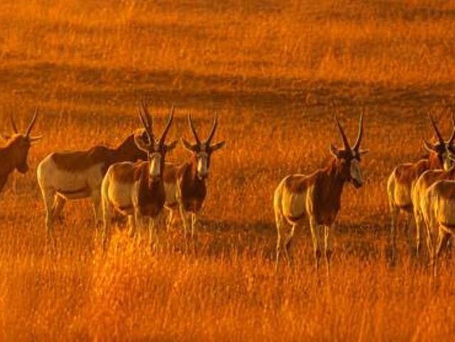 Land for sale in Gauteng
