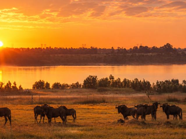 Land for sale in Gauteng
