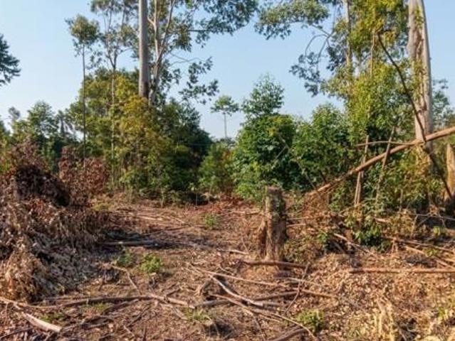 Land for sale in Kwazulu-natal
