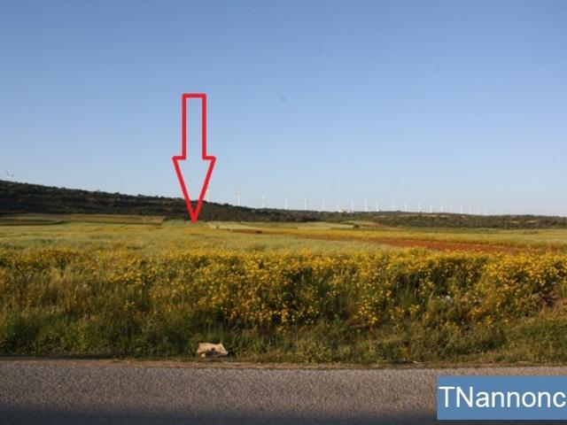 Propriété location