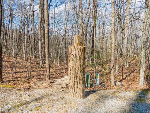 Land for sale in Transylvania, North Carolina