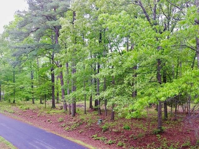 Land for sale in Virginia