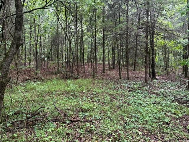 Land for sale in Tennessee