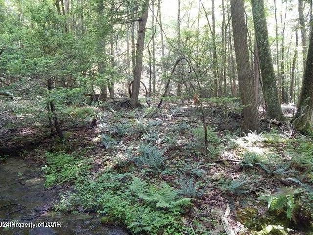 House for sale in Harveys Lake, Pennsylvania