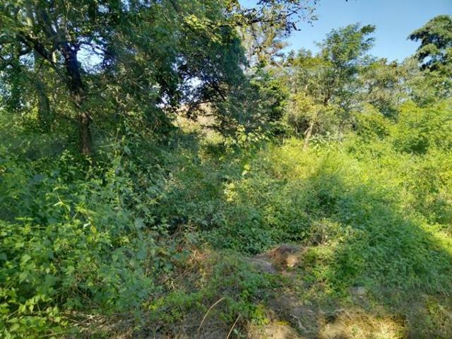 Property for sale in Ehlanzeni, Mpumalanga