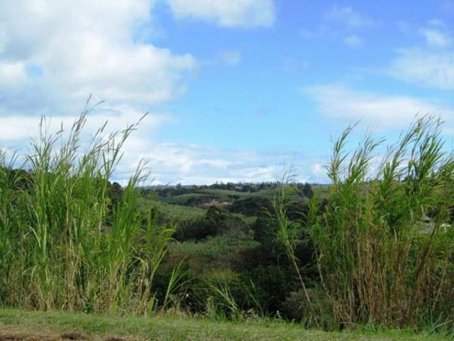 Property for sale in Ugu District Municipality, Kwazulu-natal