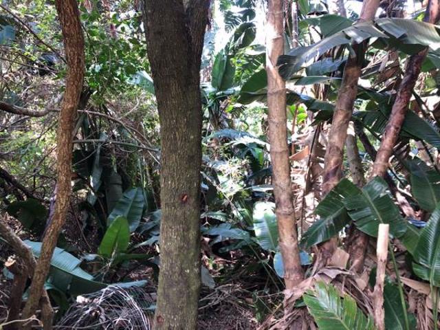 Property for sale in Ugu District Municipality, Kwazulu-natal