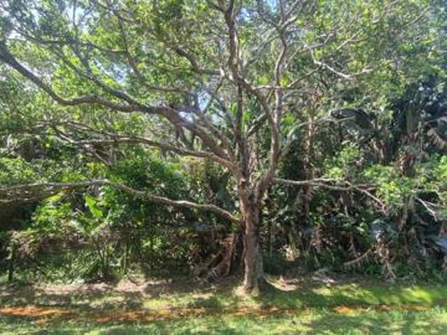 Property for sale in Margate, Hibiscus Coast Local Municipality