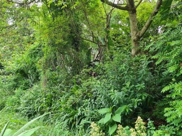 Property for sale in Ugu District Municipality, Kwazulu-natal