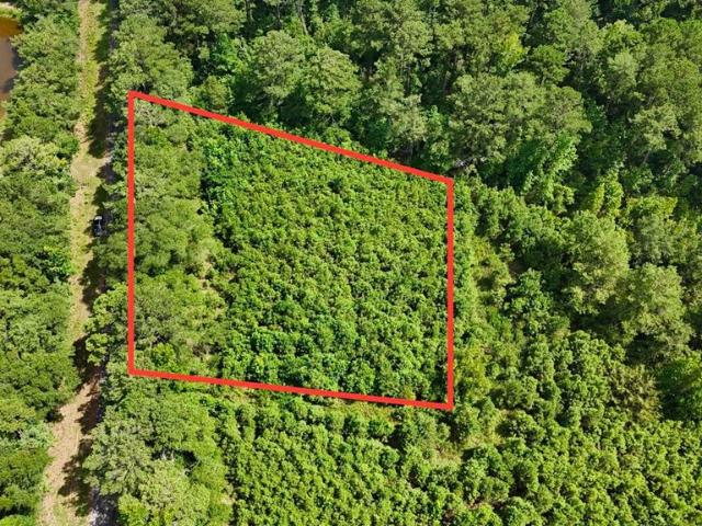 Land for sale in Clio, Alabama