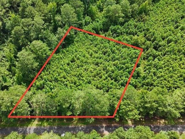 Land for sale in Clio, Alabama