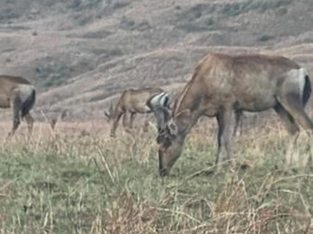 Property for sale in Drakensberg, Kwazulu-natal