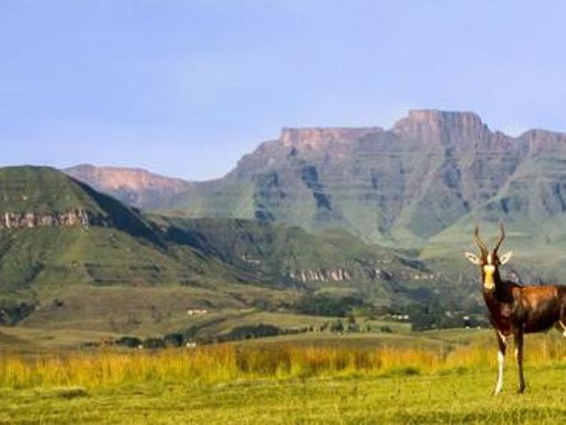Property for sale in Drakensberg, Kwazulu-natal