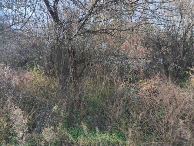 Property for sale in Sedibeng, Gauteng
