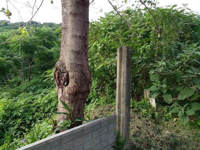 Property for sale in Seaview, Kwazulu-natal