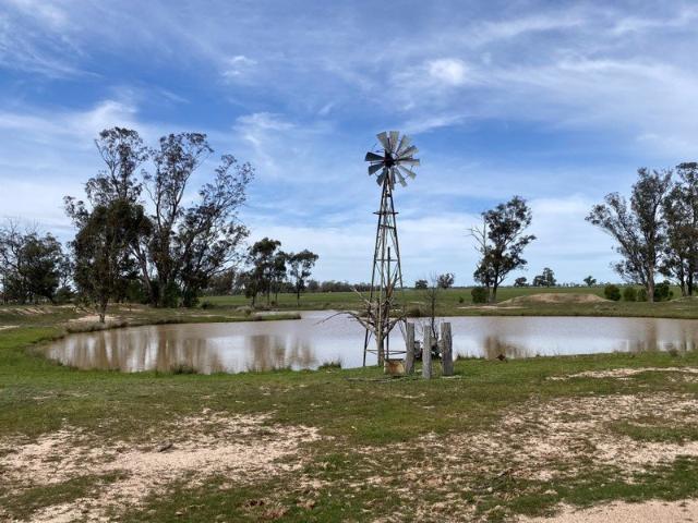 Cottage for sale in Breelong, New South Wales