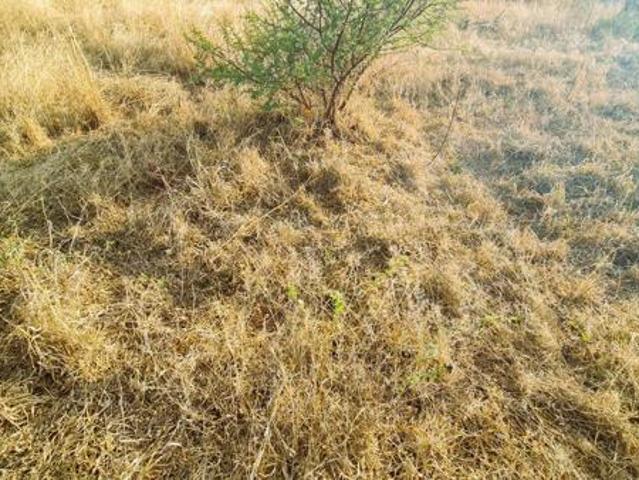 Property for sale in Seshego, Limpopo