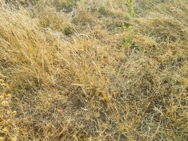 Property for sale in Seshego, Limpopo