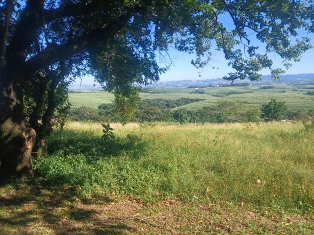 Property for sale in Mtunzini, Kwazulu-natal