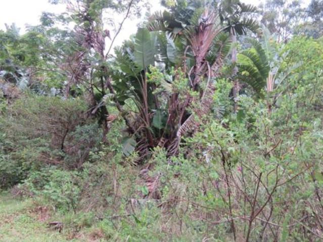 Property for sale in Ugu District Municipality, Kwazulu-natal