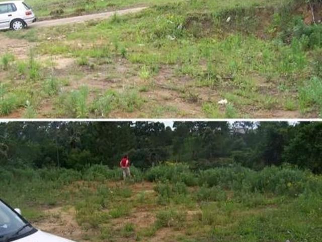 Property for sale in Ugu District Municipality, Kwazulu-natal