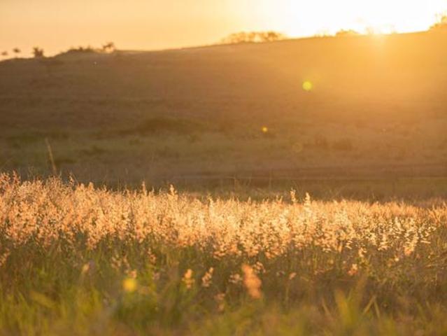 Property for sale in Princess Grant, Kwazulu-natal