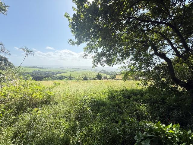 Land for sale in Mtunzini, Kwazulu-natal