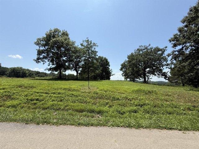 Land for sale in Adolphus, Kentucky